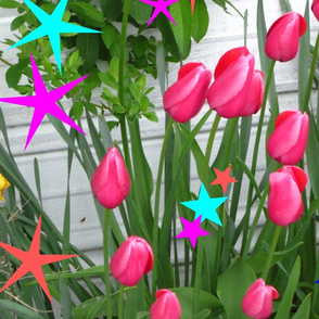 tulips_with_designs