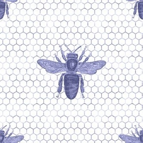 Elegant Blue Bee