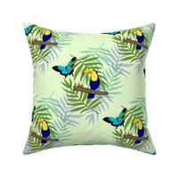 Toucan Rainforest (motif) - mint green, medium 