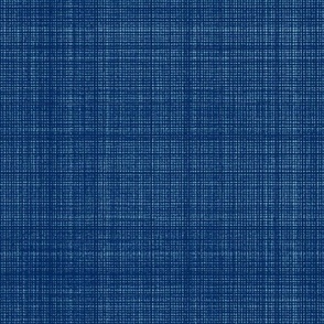 Classic Gingham Checks Plaid Natural Hemp Grasscloth Woven Texture Classy Elegant Simple Blue Blender Jewel Tones Autumn Dirty Navy Blue 003366 Dynamic Modern Abstract Geometric