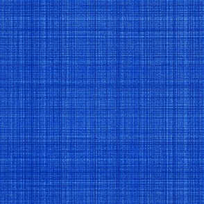 Classic Gingham Checks Plaid Natural Hemp Grasscloth Woven Texture Classy Elegant Simple Blue Blender Jewel Tones Autumn Royal Blue Sapphire Blue 0044CC Dynamic Modern Abstract Geometric