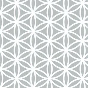 Geometric Lines - Grey + White