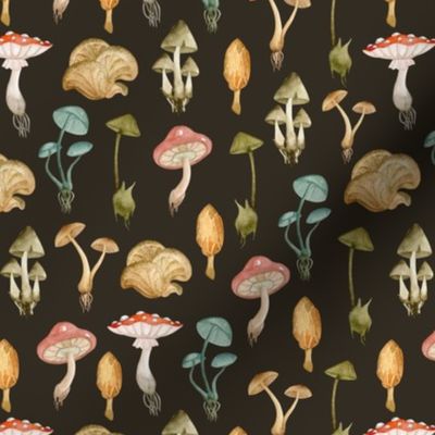 Mushrooms. Brown background