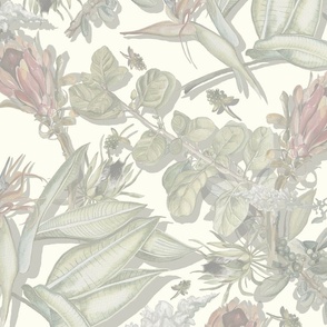 Scattered South African plants on the floor of a Victorian Green house Neutral faded