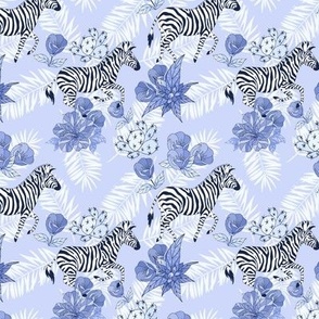 Zebra blue pattern