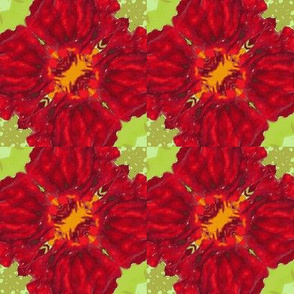 2x2_red_flower_45_Picnik_collage-ch