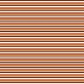Brown multi stripes