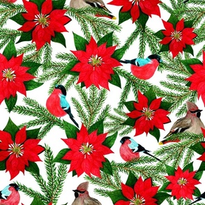 Watercolour Christmas pattern, bullfinches, poinsettia, white background.