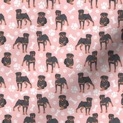 Rottweilers Paws and Bones - Pink Background