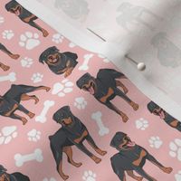 Rottweilers Paws and Bones - Pink Background