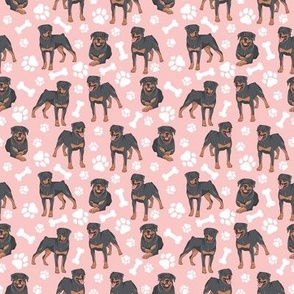 Rottweilers Paws and Bones - Pink Background