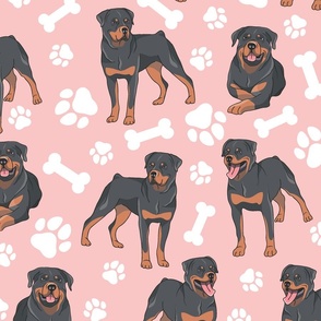 Rottweilers Paws and Bones  Pink Background - Large Scale