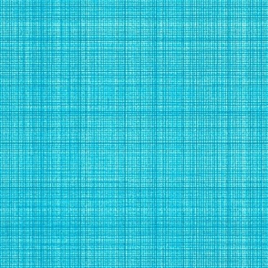 Classic Gingham Checks Plaid Natural Hemp Grasscloth Woven Texture Classy Elegant Simple Blue Blender Bright Colors Summer Capri Blue Turquoise Baby Light Blue 00D5FF Bold Modern Abstract Geometric