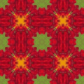 2x2_qt_red_flower_45_Picnik_collage-ch