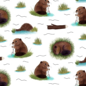 Baby beavers