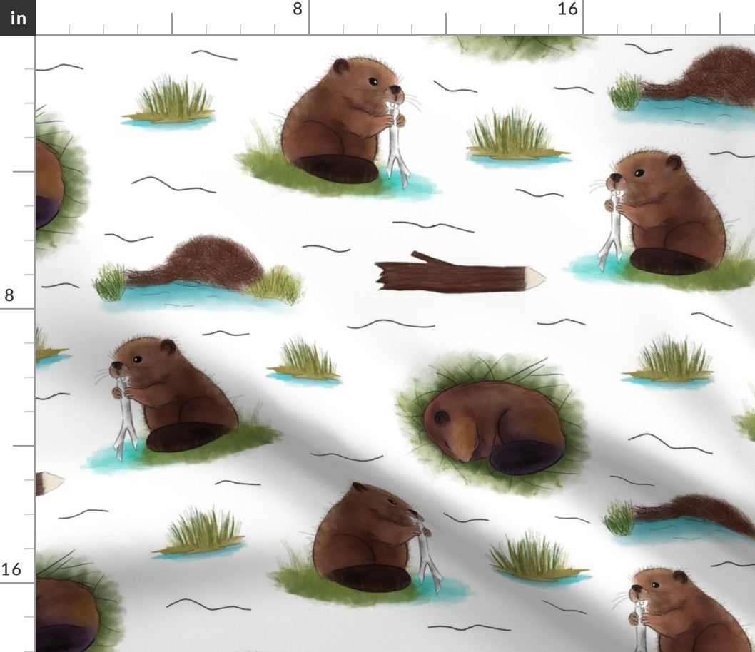 Baby beavers