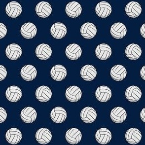 (small scale) Volleyball - navy - C21