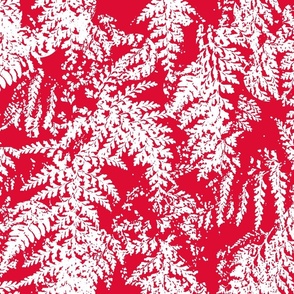 palapalai fern impressions type-black on red