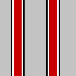 Ohio State stripe Large