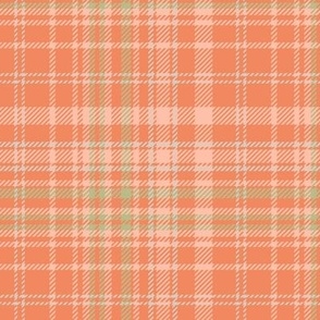 Plaid Crossover: Orange Glow, gray, green, coordinate quirky amphibian