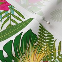 Jungle Paradise (lattice) - white, medium to large 