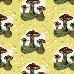 ‘Shrooms- red and yellow 