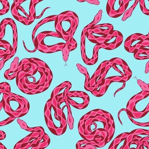 Snakes - Pink on Aqua - Medium