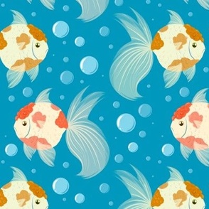 Goldfish on blue