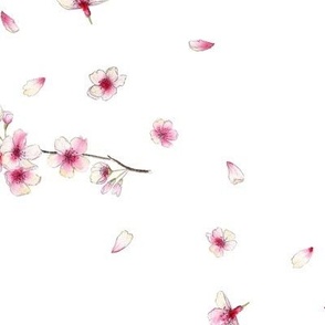 Cherry Blossoms White