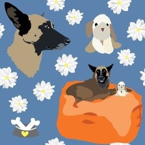 medium print // Malinois Dog shepherd daisy, dog toy, bean bag chair orange, blue background
