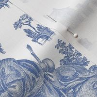 French Toile in Blue