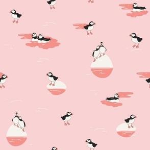 Puffins in Sunset Pink