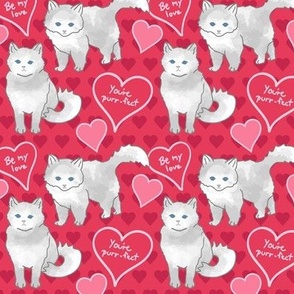 Kitschy Kitty Valentine
