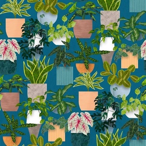 Tropical House Plants  - Teal