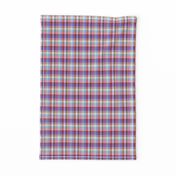 plaid rainbow  Madras Tartan Summer spring 1b MINI scale repeat