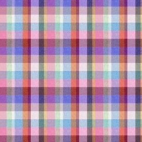 plaid rainbow 1b Mini