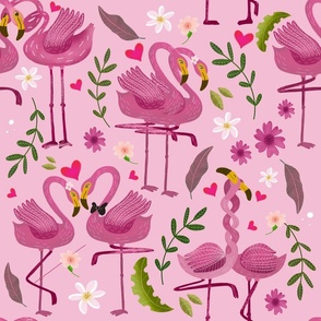 flamingos in love