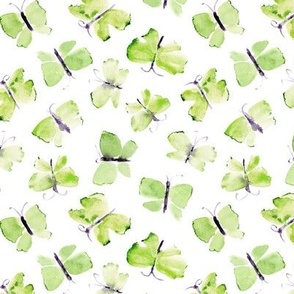 Celadon green dainty butterflies - watercolor butterfly pattern - elegant insects for modern home decor_ bedding_ nursery a673-6