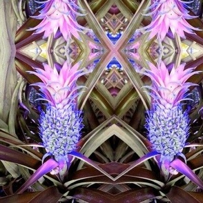 The Magic Cabinet of Surreal Purple Pineapples (#1)