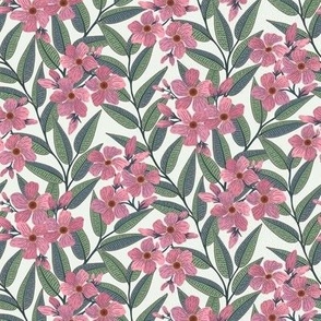 Oleander the toxic beauty blush pink, green and grey S scale