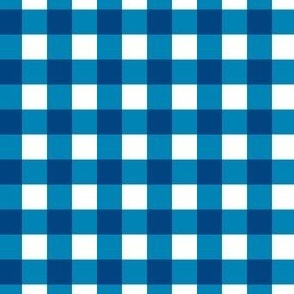 Playful Blue Gingham Small Scale