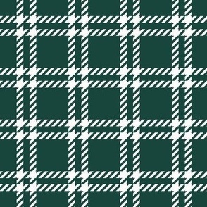 Green And White Plaid