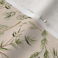 pine boughs on kraft