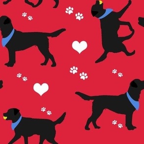 Black Labrador Retrievers in Red