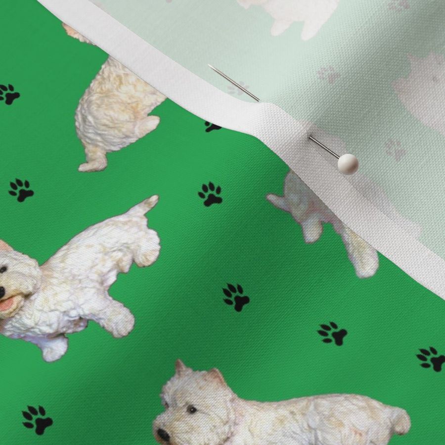 Westies on green with paw prints