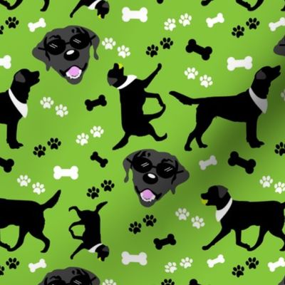 Black Lab Faces in Green