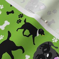 Black Lab Faces in Green