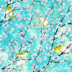 Sakura cherry blossoms with whit japanese eyed birds