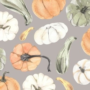 Watercolor Pumpkins + Gourds {Gray} Medium Scale