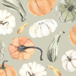Watercolor Pumpkins + Gourds {Sage Green} Medium Scale